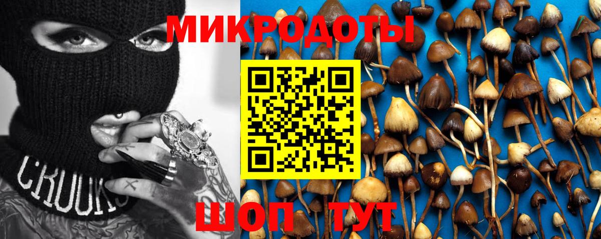 Борзя  Псилоцибиновые грибы ЛСД  Вход с VPN  Псилоцибиновые грибы мухоморы 